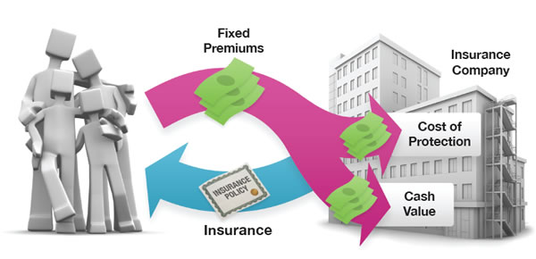 Graphic explaining whole life insurance