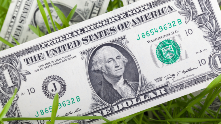 A photo of a one dollar bill lying in grass